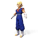 Clothes | Super Saiyan Vegito Character