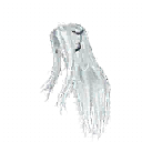 Cover | Galvanic Judge