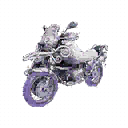 Motocycle | Flora Delight